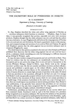 THE EXCRETORY ROLE OF PTERIDINES IN INSECTS