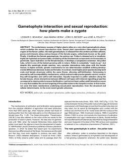 Gametophyte interaction and sexual reproduction: how plants make