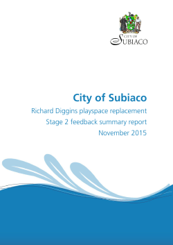 Richard Diggins playspace Stage 2 feedback summary report (1.95