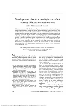 Development of optical quality in the infant monkey