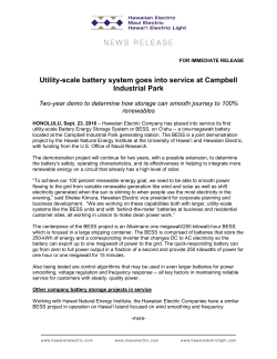 PDF - Hawaiian Electric