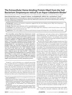 The Extracellular Heme-binding Protein HbpS from the Soil