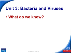 19&ndash;1 Bacteria
