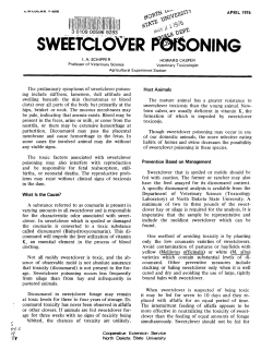The preliminary symptoms of sweetclover poison