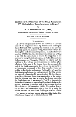 Studies on the Structure of the Golgi Apparatus. IV. Endostyle of