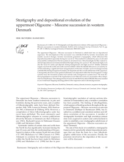 Stratigraphy and depositional evolution of the uppermost Oligocene