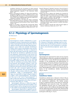 Physiology of Spermatogenesis