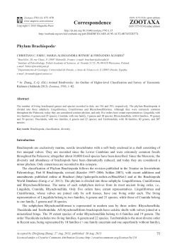 Phylum Brachiopoda
