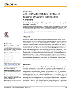 Ancient DNA Reveals Late Pleistocene Existence of Ostriches in