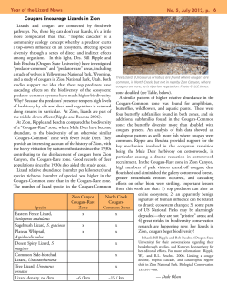 Cougars Encourage Lizards in Zion