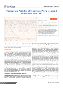 Therapeutic Potential of Totipotent, Pluripotent and Multipotent Stem