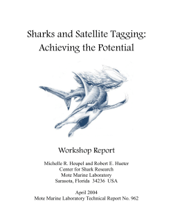Sharks and Satellite Tagging: Achieving the Potential