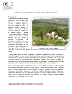 A pastoralist takes his cattle to graze Mitigating Conflict between