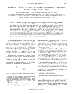 Location of Cyanine-3 on Double-Stranded DNA: Importance for