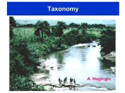 Taxonomy - parasitology.sbmu.ac.ir