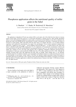 Phosphorus application affects the nutritional quality of millet grain