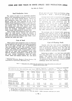 cone and seed yields in white spruce seed production areas