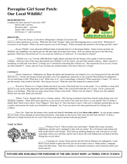 ABQ BioPark &ndash; Porcupine