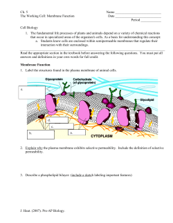 Ch. 5 membrane structure and function packet