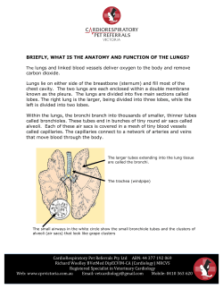 Chronic Bronchitis Explained - New