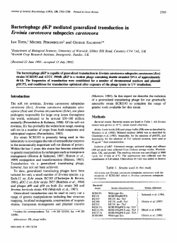 Bacteriophage q5KP mediated generalized transduction in Erwinia