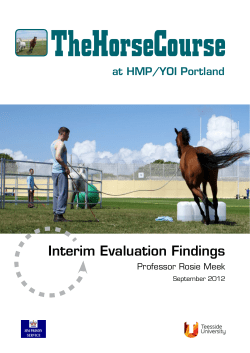 Interim Evaluation Findings