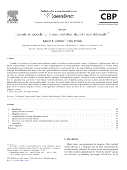Teleosts as models for human vertebral stability