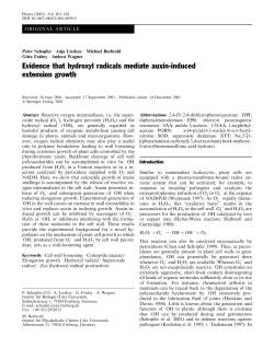 Evidence that hydroxyl radicals mediate auxin