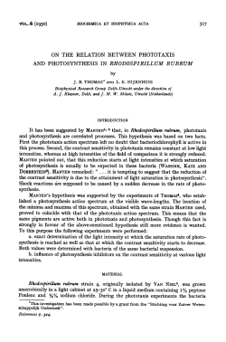 AND PHOTOSYNTHESIS IN RHODOSPIRILL UM R UBRUM