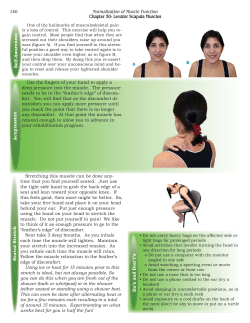 Levator Scapula Muscles