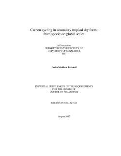 Carbon cycling in secondary tropical dry forest from species to