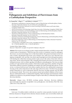 Pathogenesis and Inhibition of Flaviviruses from a Carbohydrate