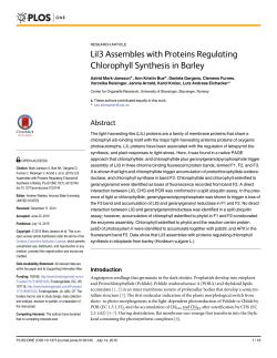 Lil3 Assembles with Proteins Regulating Chlorophyll Synthesis in
