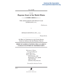 brief - American Bar Association
