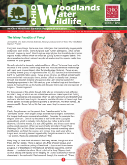 The Many Face(t)s of Fungi - Ohio Woodland Stewards Program