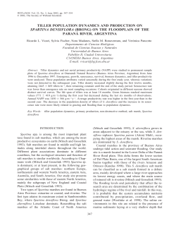 tiller population dynamics and production on spartina densiflora
