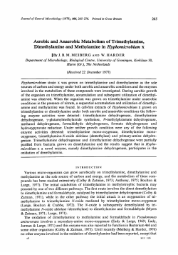 Aerobic and Anaerobic Metabolism of Trimethylamine