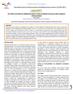IN VITRO CULTURE OF ZEBRAFISH EARLY STAGE OVARIAN