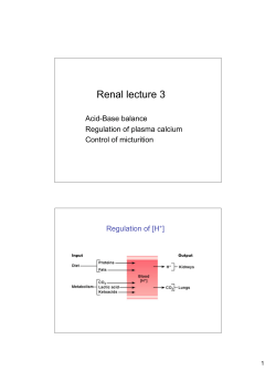Lecture 3_Renal_V_Campbell