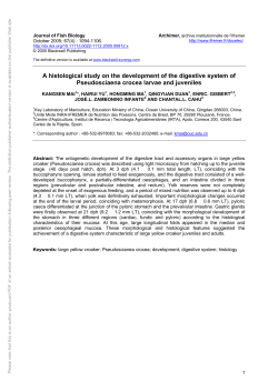 A histological study on the development of the digestive system of