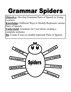 Spiders Parts of Speech