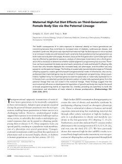 Maternal High-Fat Diet Effects on Third