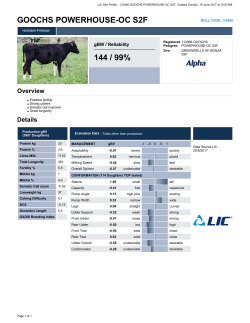 GOOCHS POWERHOUSE-OC S2F 140 / 99%