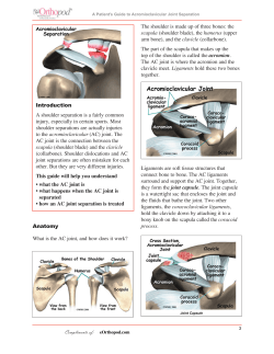 Acromioclavicular Joint Separation