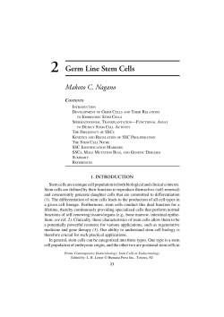 2 Germ Line Stem Cells