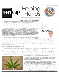 HH November 2015.pages