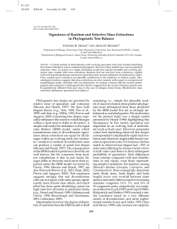 Signatures of Random and Selective Mass Extinctions in