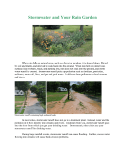 Stormwater and your rain garden