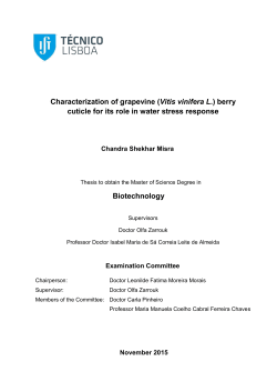 Characterization of grapevine (Vitis vinifera L.) berry cuticle for its