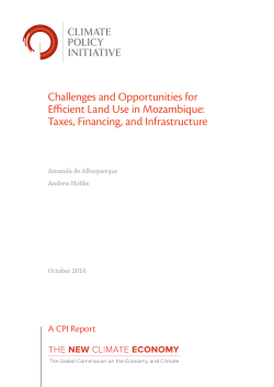 Challenges and Opportunities for Efficient Land Use in Mozambique